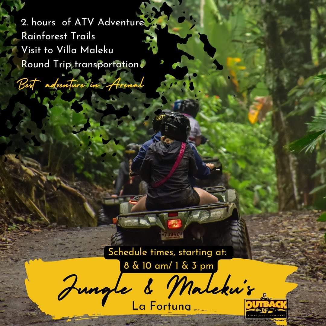 Jungle experience