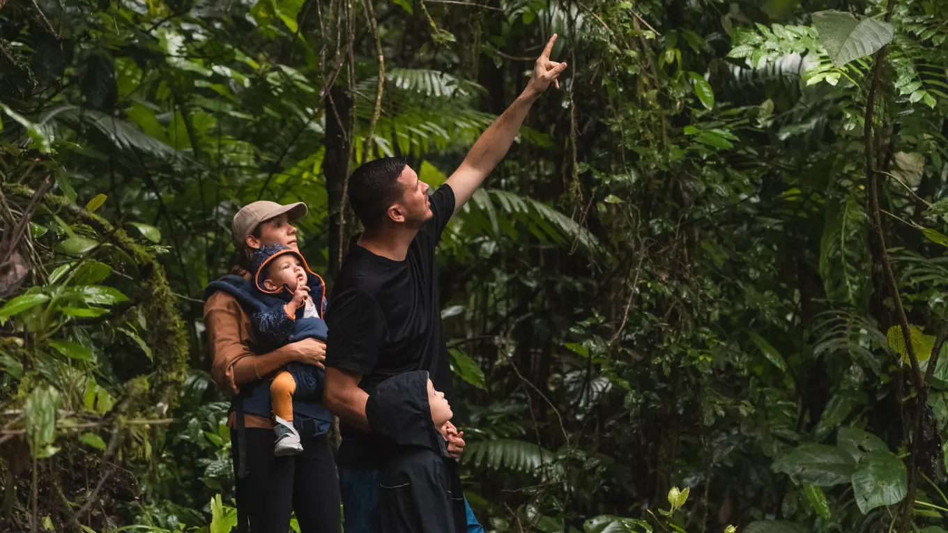 Man pointing up into the forest canopy beside a woman carrying a young child