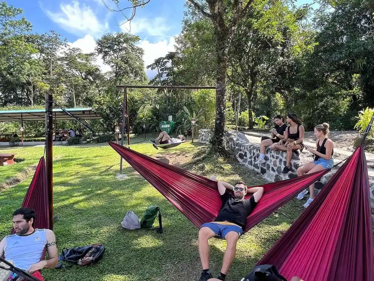 People relaxing in magenta hammocks and on a stone wall on a lawn, with a covered area and trees behind
