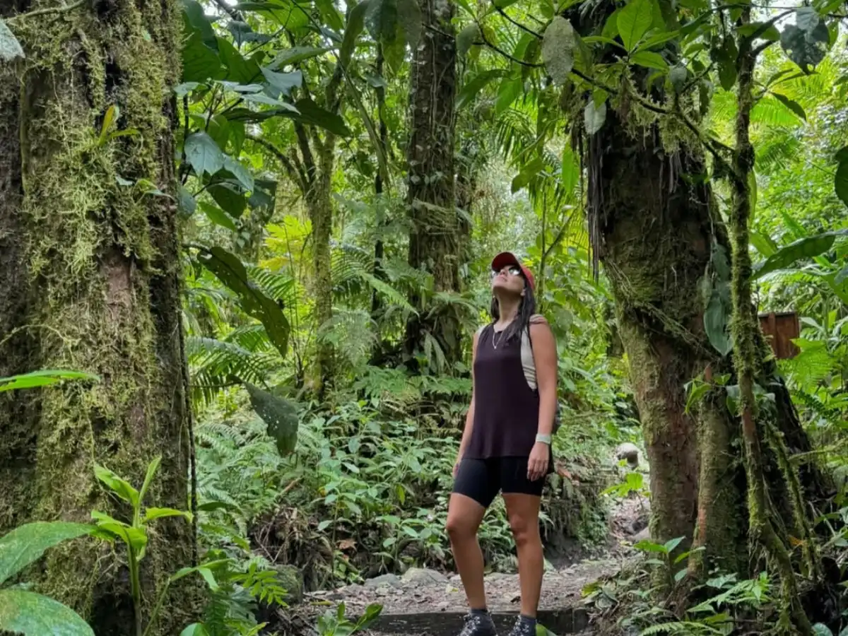 Mujer con gorra roja que mira hacia arriba entre troncos cubiertos de musgo en un sendero del bosque