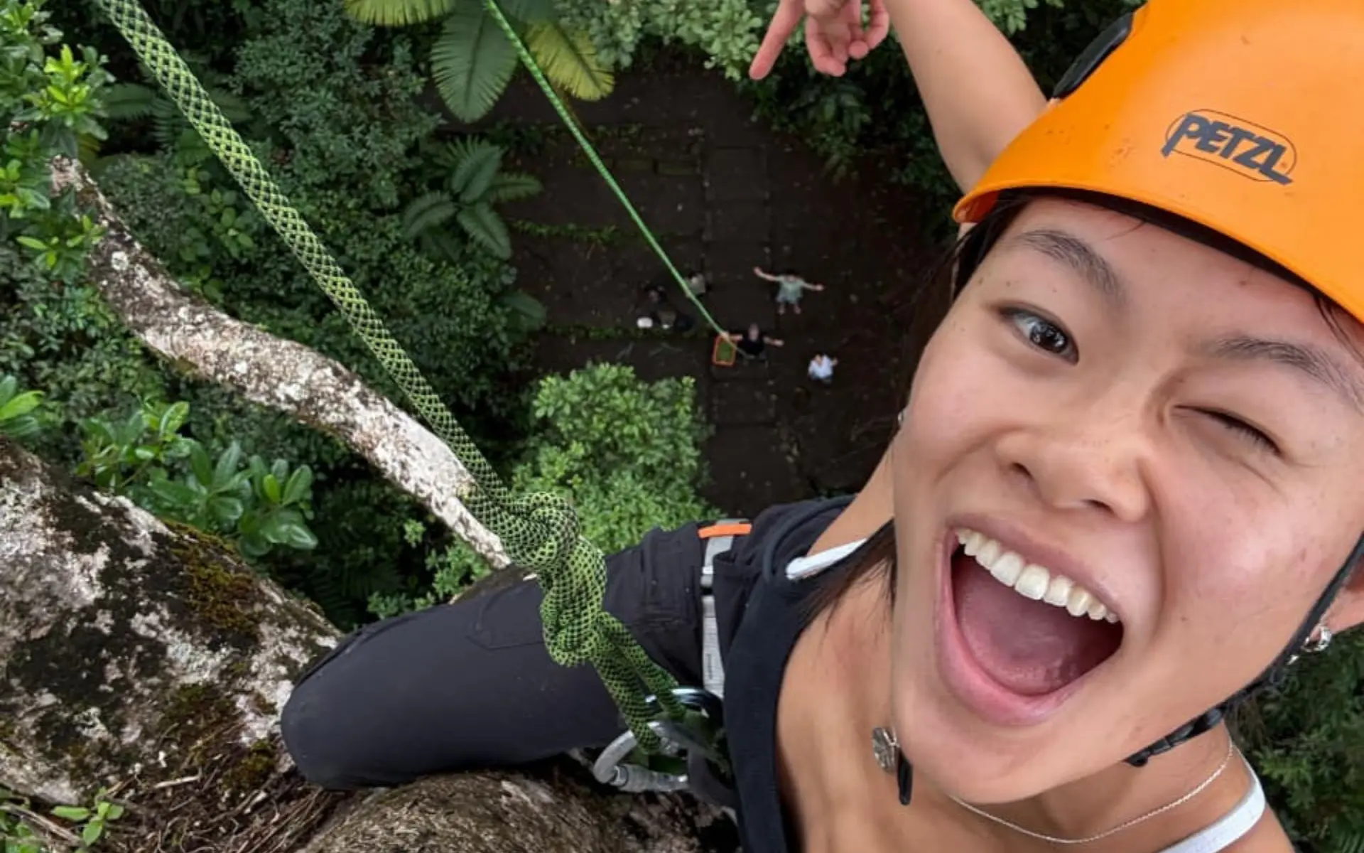 Persona sonriente con casco naranja que se toma una selfie en lo alto de un árbol, con el suelo del bosque muy abajo
