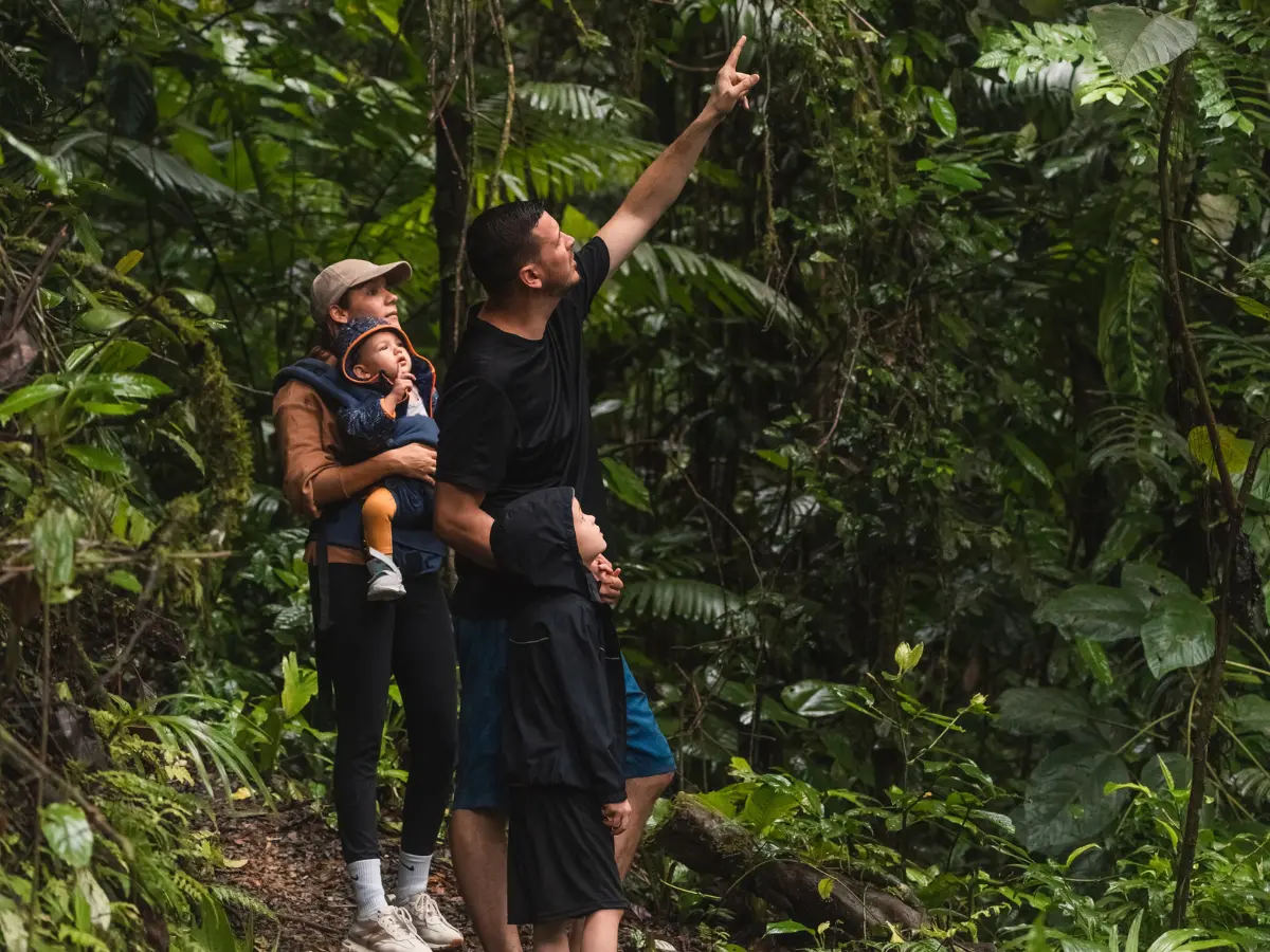 Man pointing up into the forest while a woman carrying a baby and a child look on