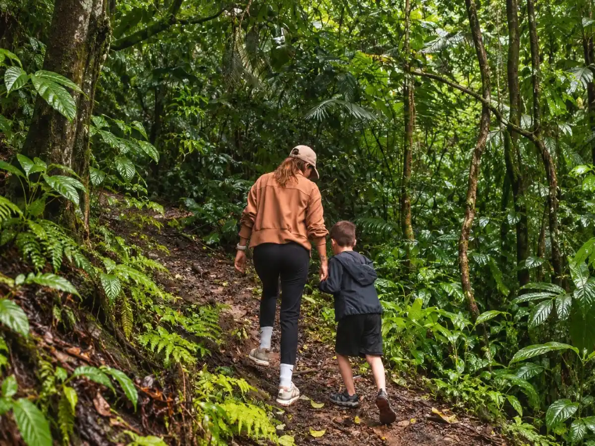 Adult and child walking up a muddy forest trail among ferns and tall trees