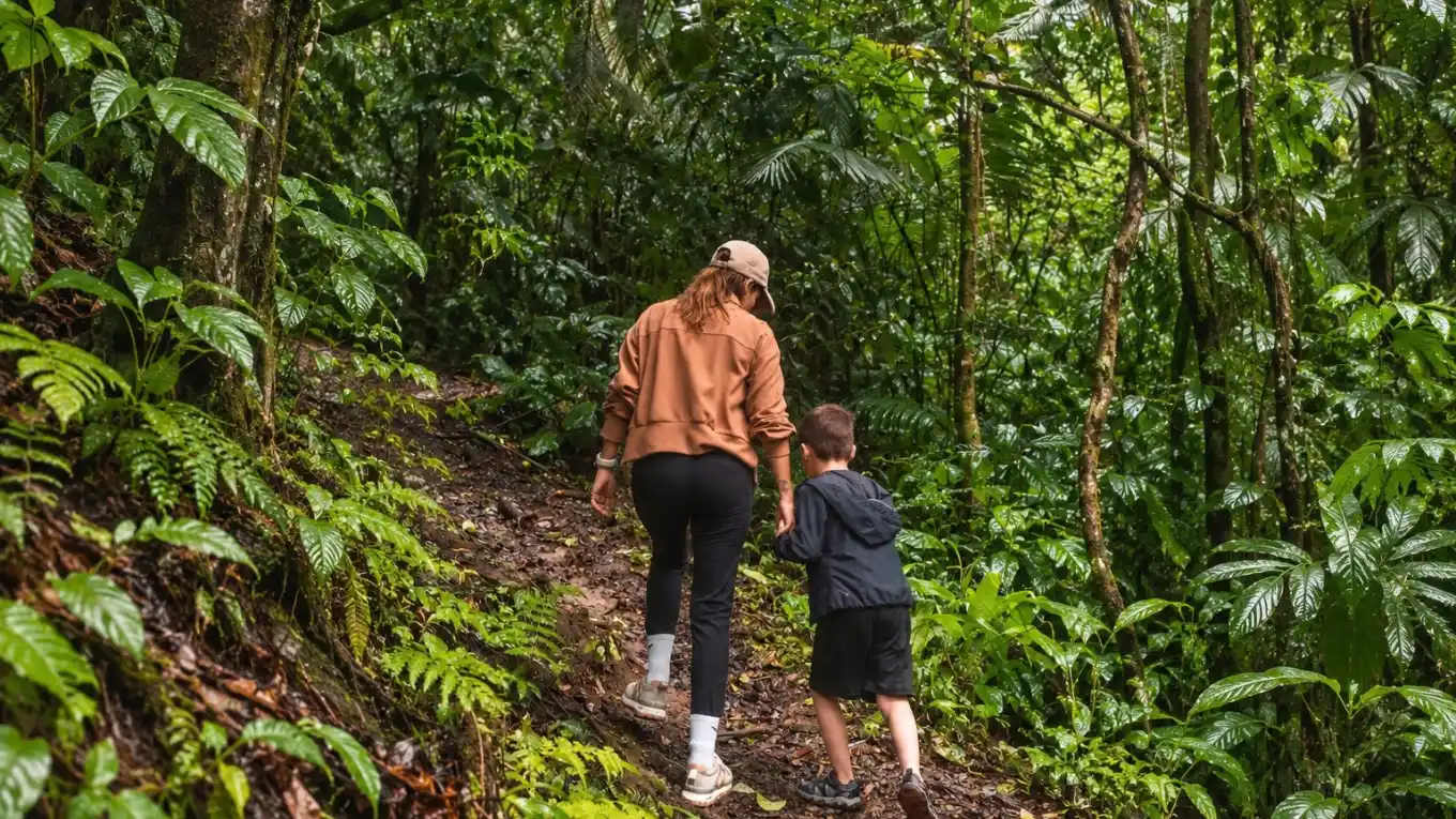 Adult and child walking up a forest trail between ferns and tall trees
